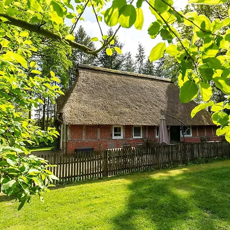 Apartament Heide Ferien - Hof Bockelmann Bispingen Zewnętrze zdjęcie