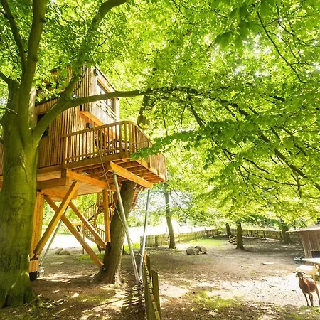 Apartament Heide Ferien - Hof Bockelmann Bispingen Pokój zdjęcie